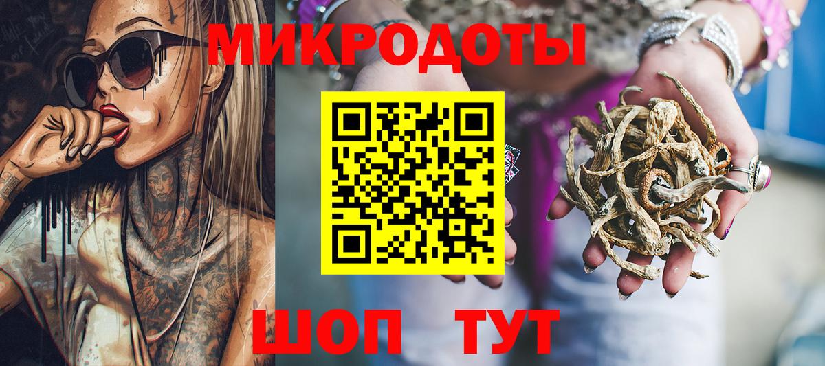 Псилоцибиновые грибы Psilocybe Котовск