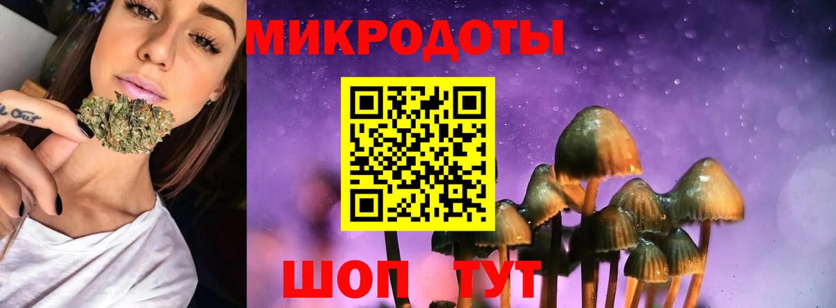 Котовск  Псилоцибиновые грибы Cubensis  Вход с VPN 