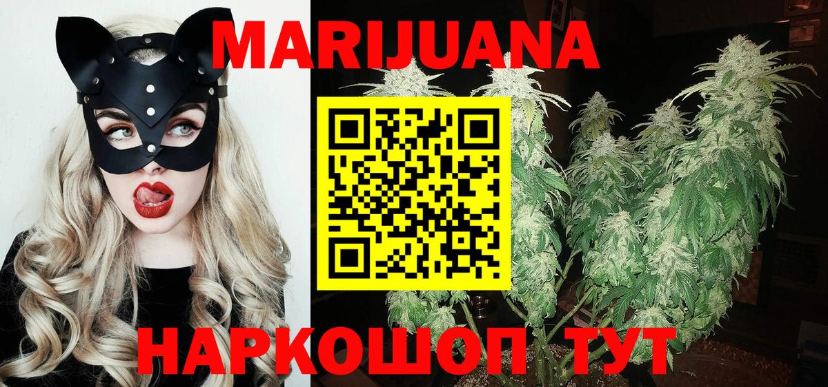 Конопля планчик  Вход с VPN  Котовск  Бошки марихуана семена  Бошки марихуана семена  Бошки марихуана SATIVA & INDICA 